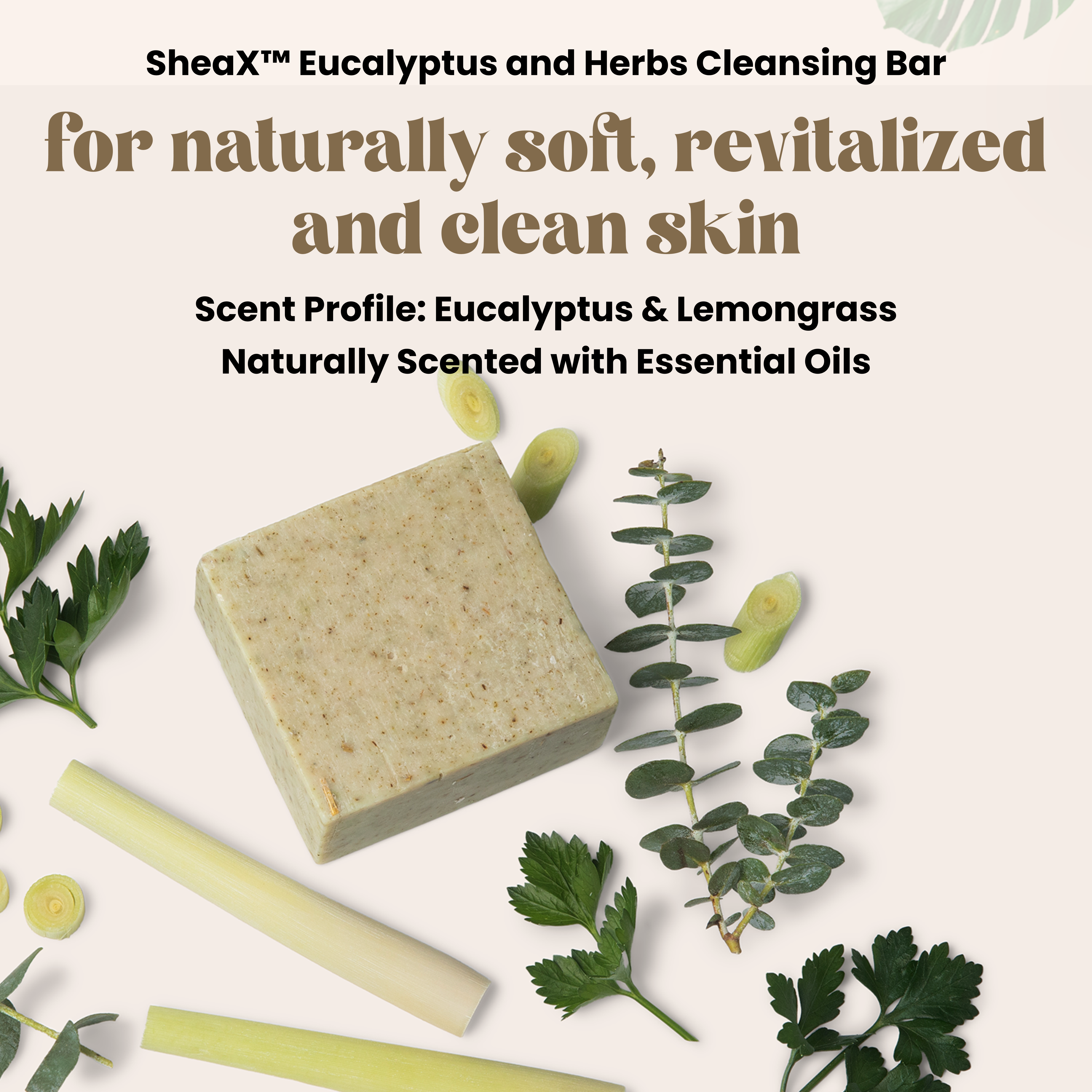 5oz SheaX™ Eucalyptus & Herbs Body Cleansing Bar Soap