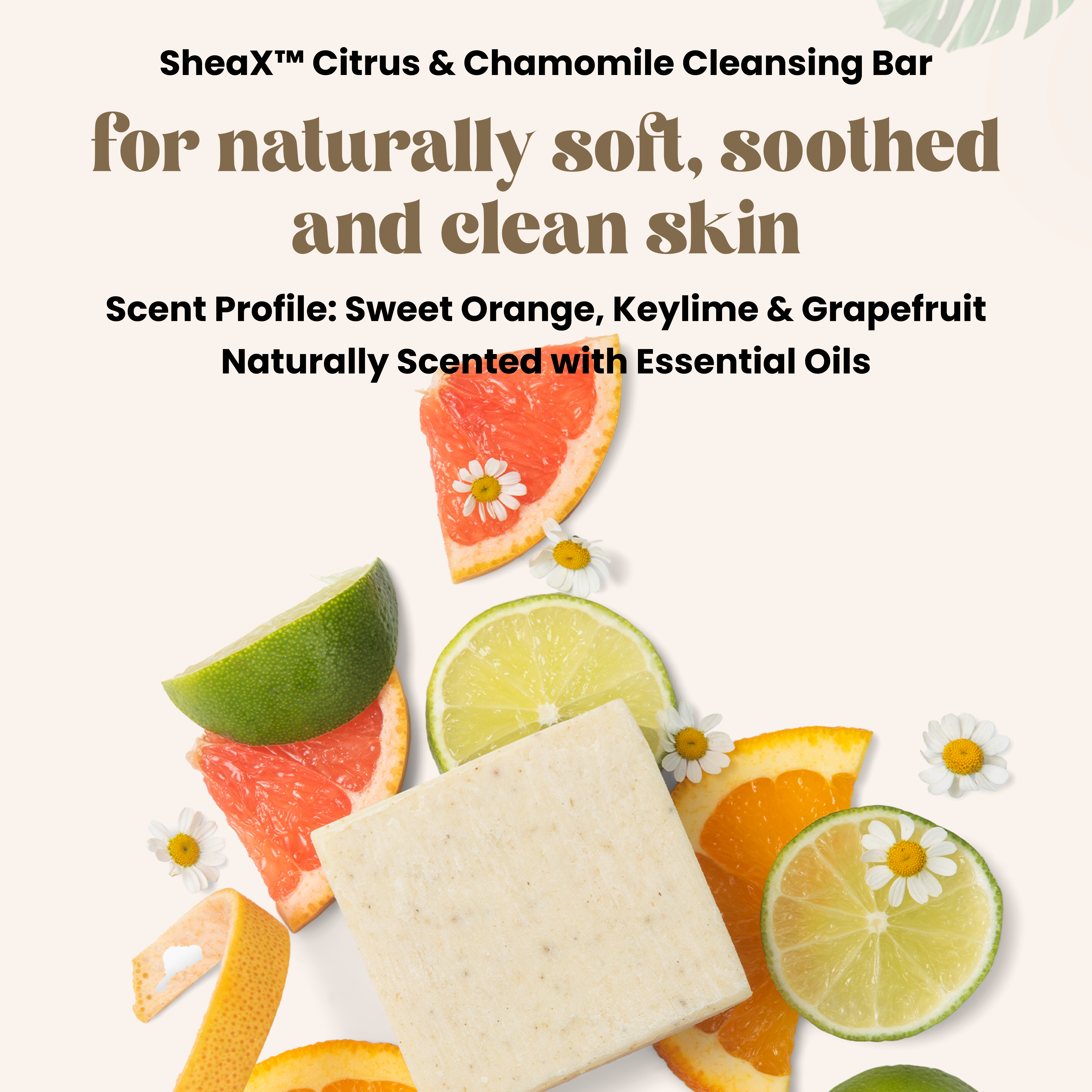 5oz SheaX™ Body Cleansing Bar Soap - 2 Pack